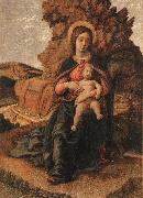 Andrea Mantegna Madonna and Child oil on canvas